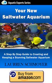 Your New Saltwater Aquarium: A Step By Step Guide to Creating and Keeping a Stunning Saltwater Aquarium